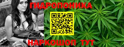герыч Бийск
